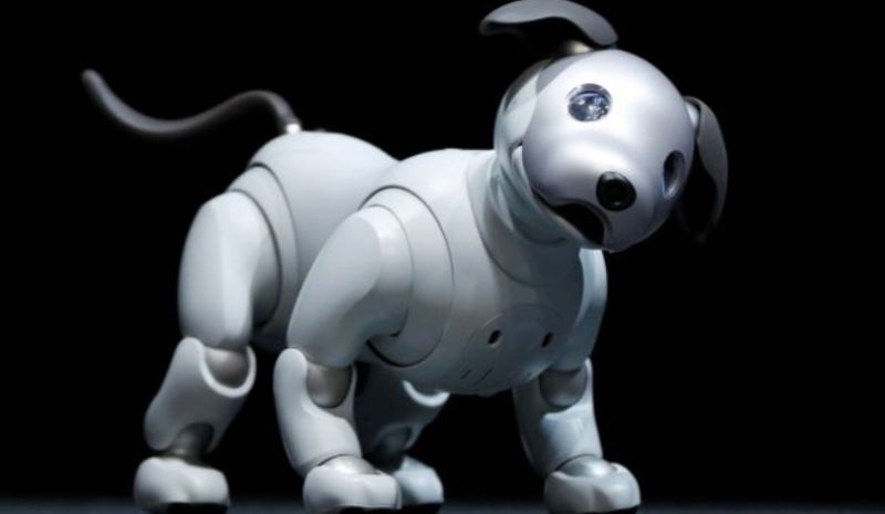 best robot dog for kids