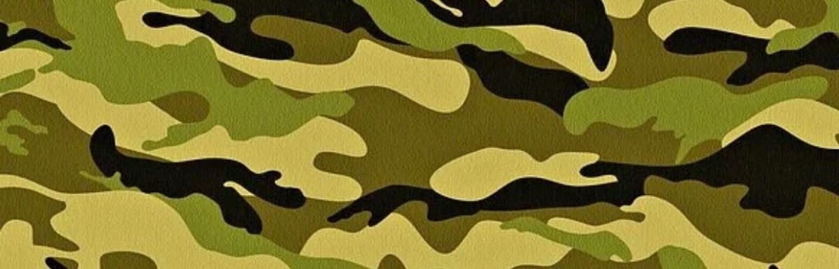What Is The Best Camouflage Pattern?