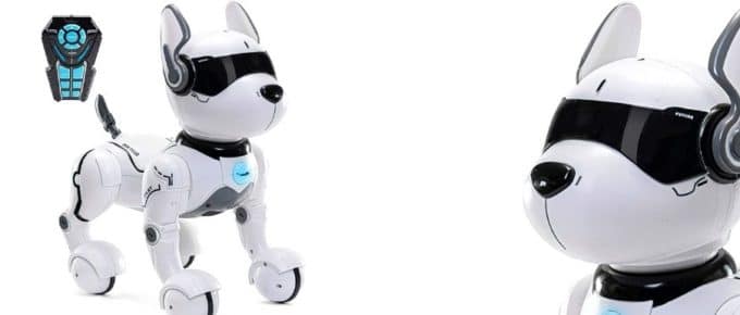 Remote Control Robot Dog Toy